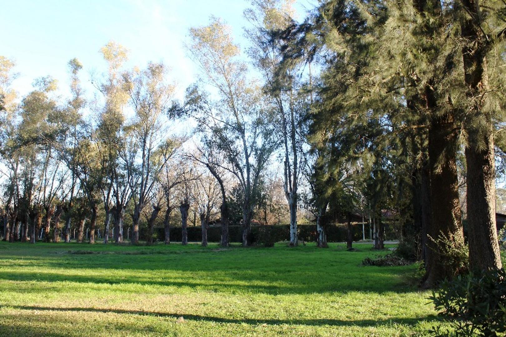 LOTES EN VENTA TORTUGAS 3 DEL VISO