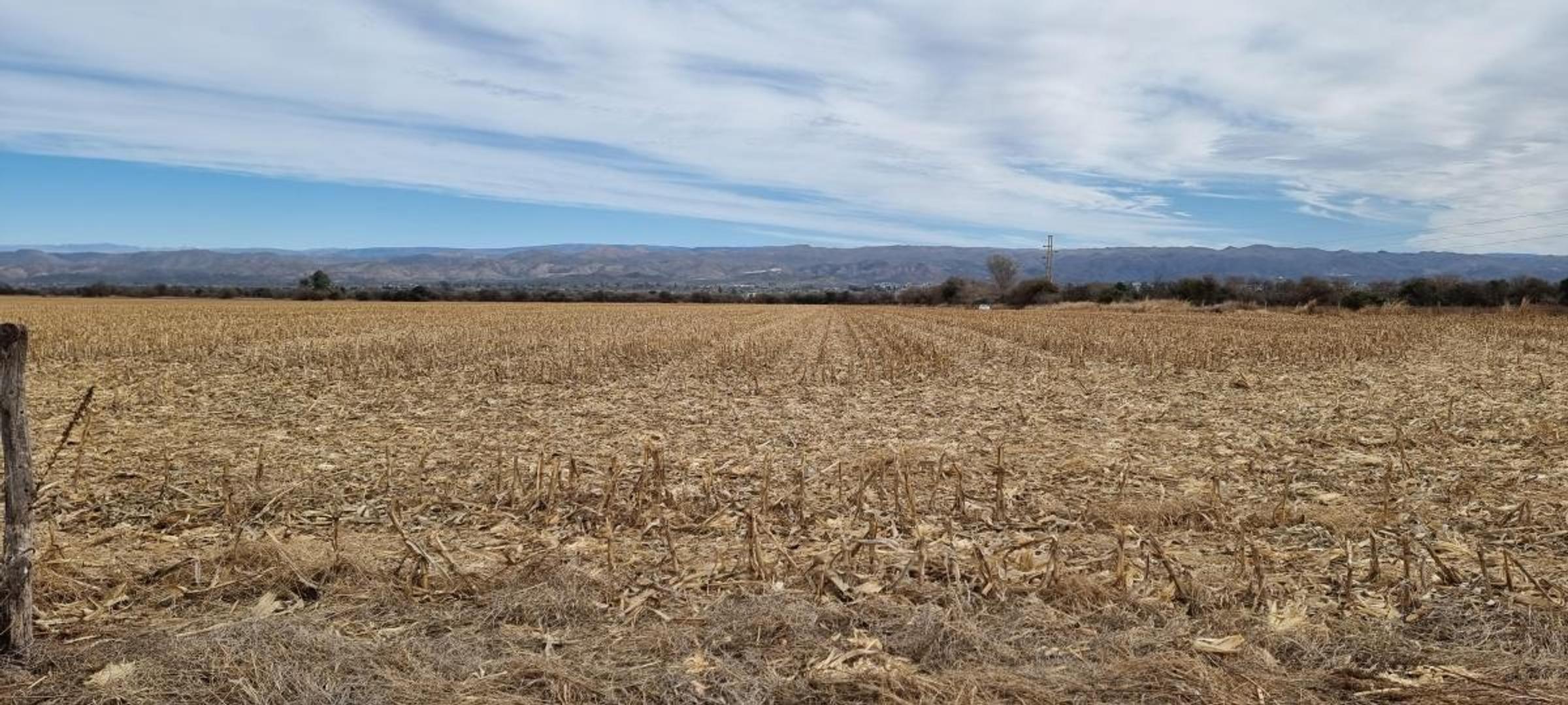 Venta Campo 7 has. Sobre ruta a  Alta Gracia