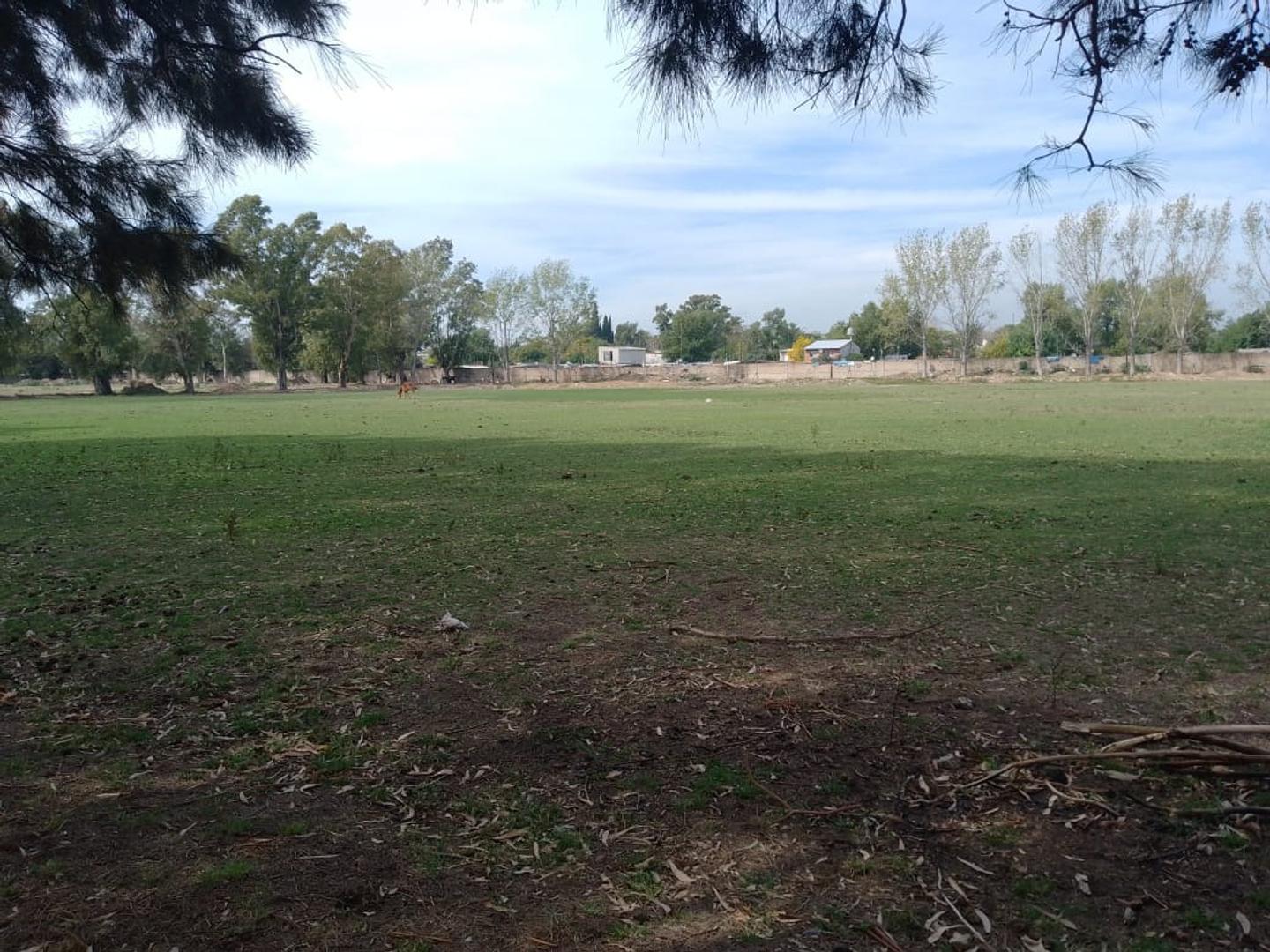 Terreno en Alquiler de 90000,0 m2