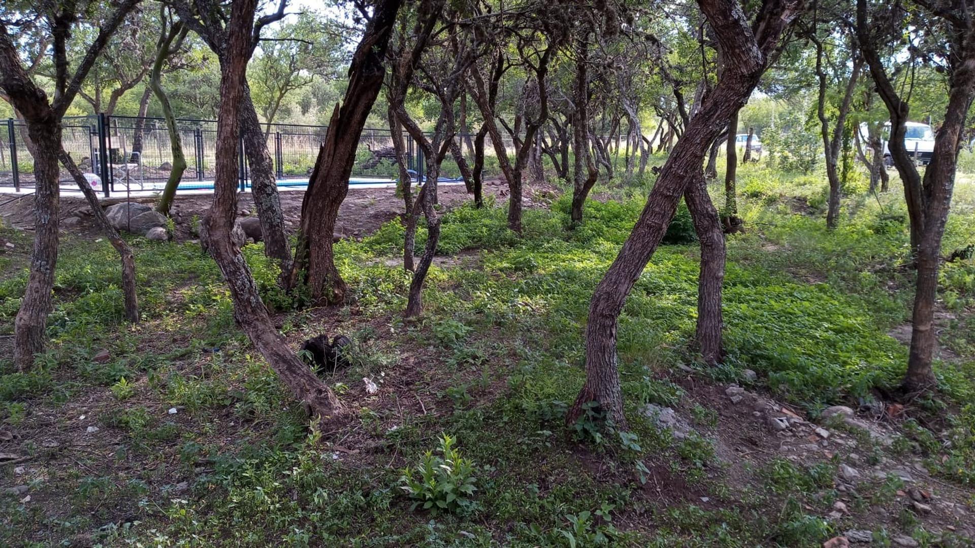 Casa en Alquiler Temporal con 2 cocheras