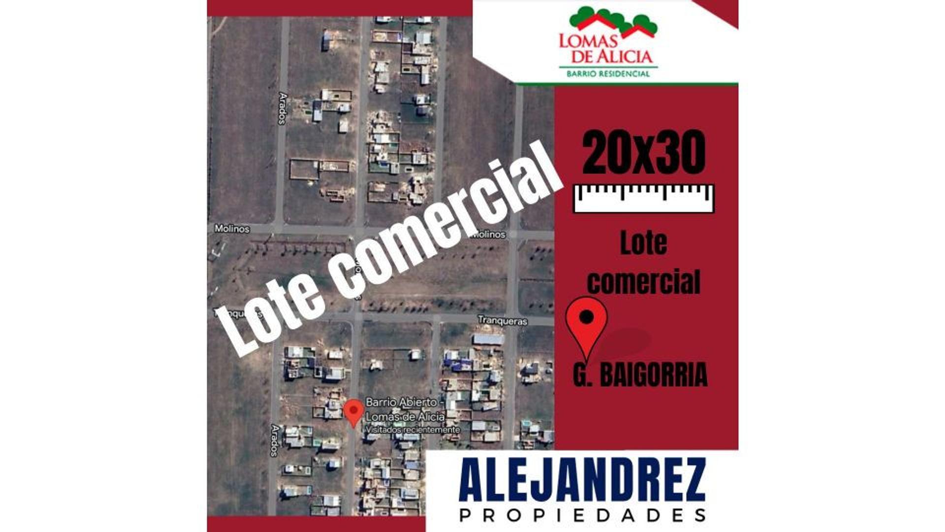 LOTE COMERCIAL GRANADERO BAIGORRIA LOMAS DE ALICIA