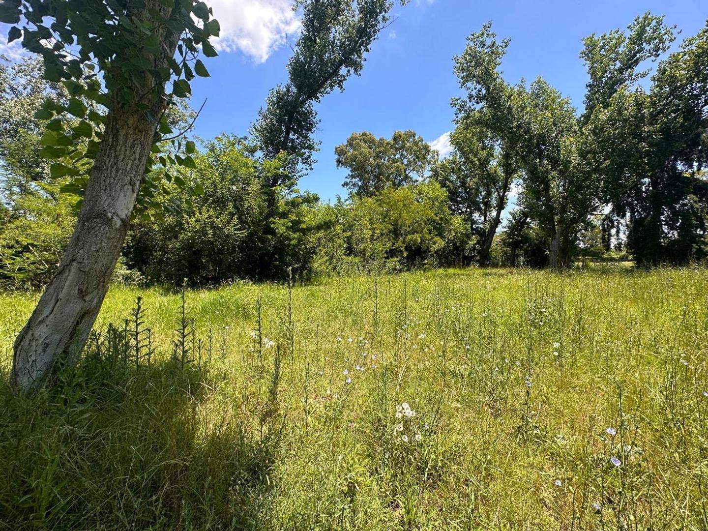 Terreno en Venta de 1000,0 m2