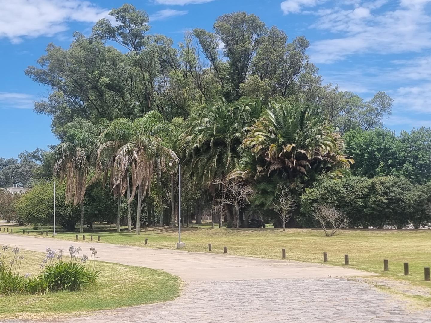 Terreno en Venta en Bosque Real, USD 75.000