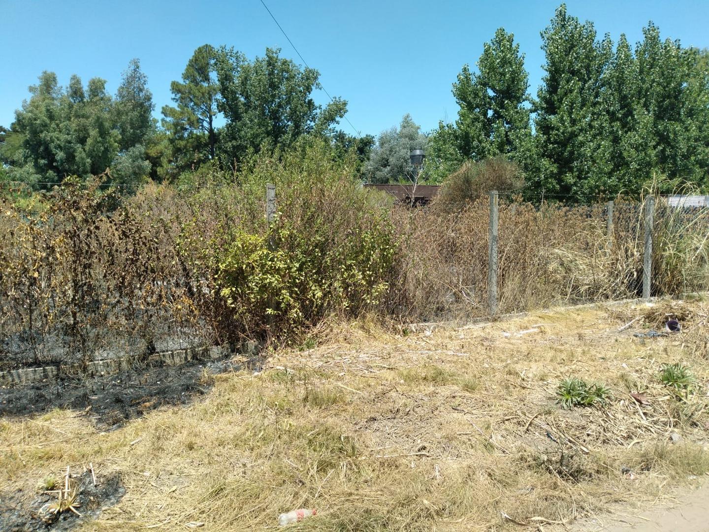 Carola Lorenzini 5400