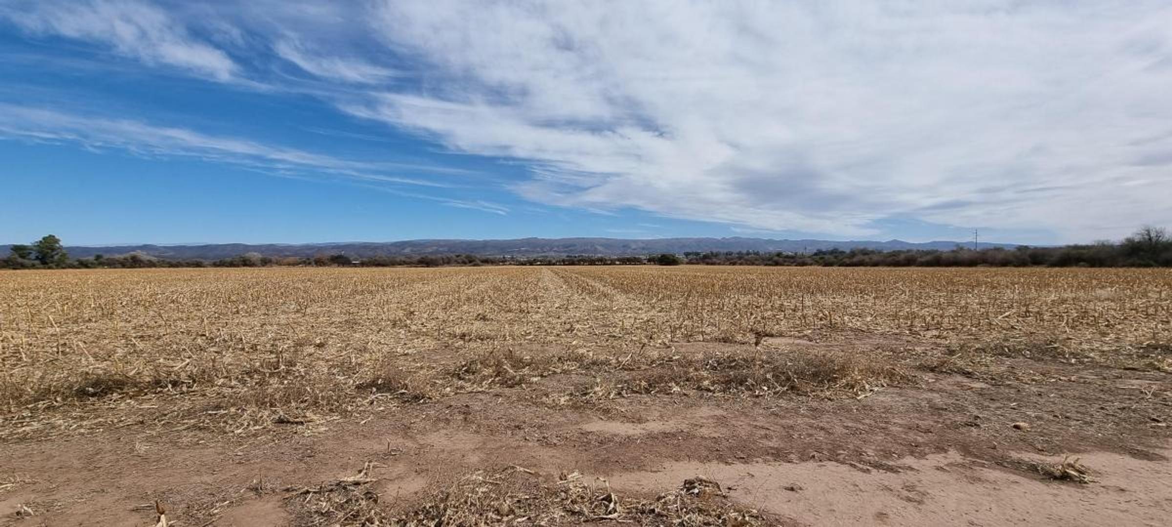 Venta Campo 7 has. Sobre ruta a  Alta Gracia