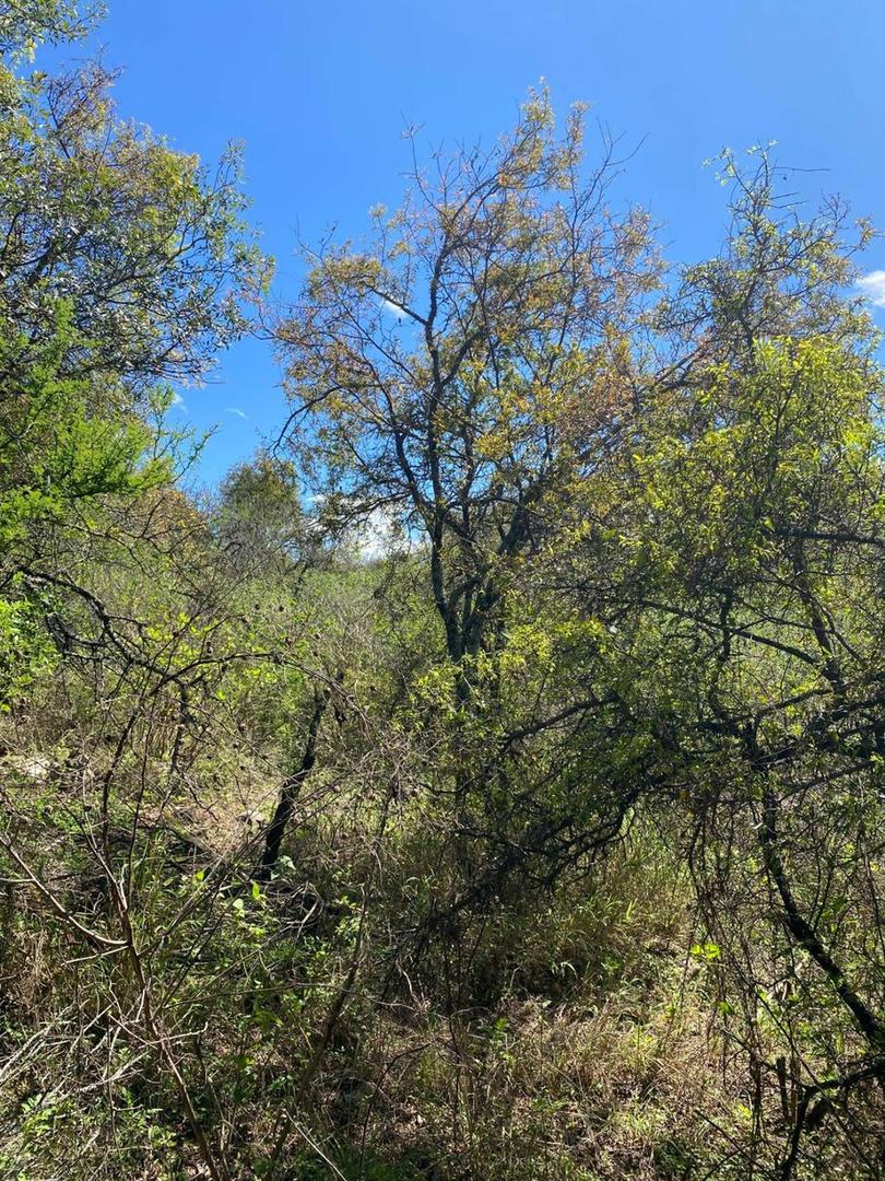 Terreno en Venta en Rio Ceballos, USD 6.350