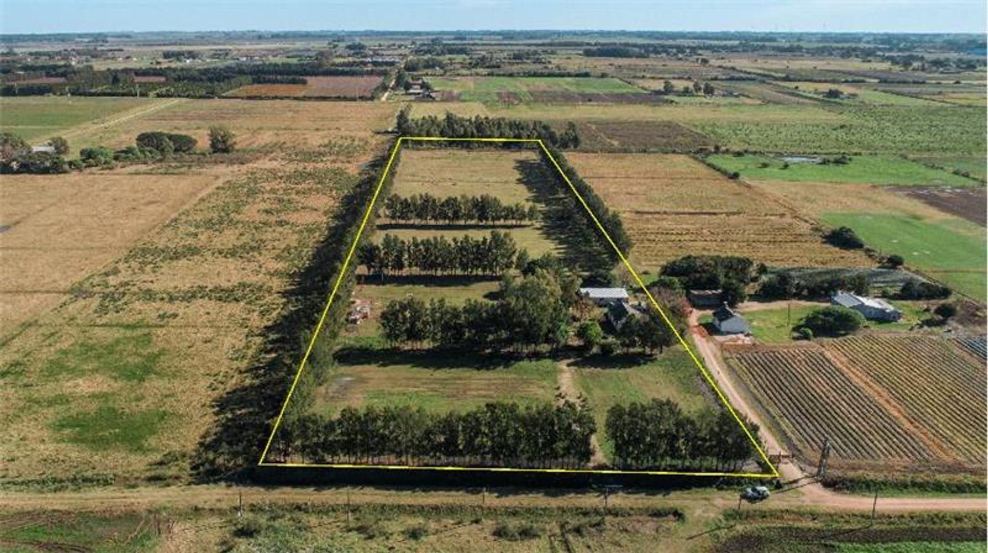 Campo en Venta de 3,50  ha