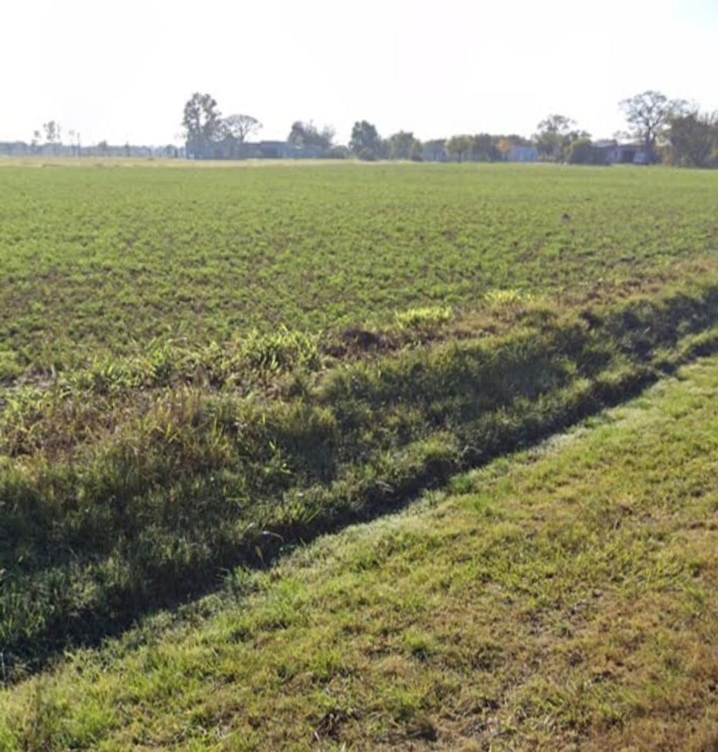 Campo en Venta Agrícola