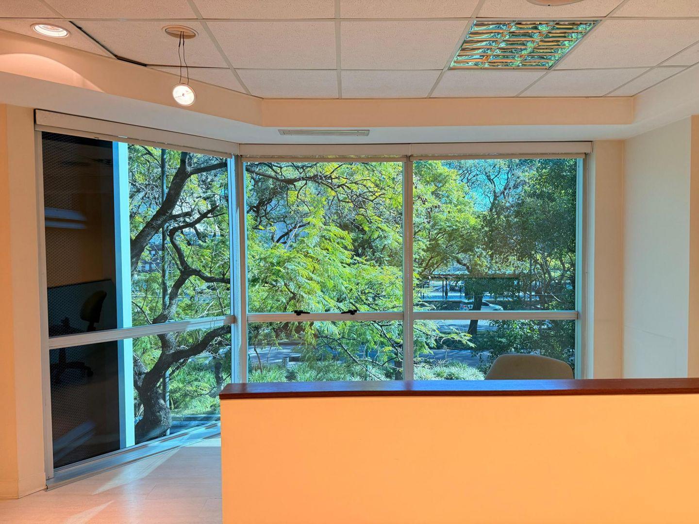 Oficina en alquiler en Microcentro - Excelente estado - 238