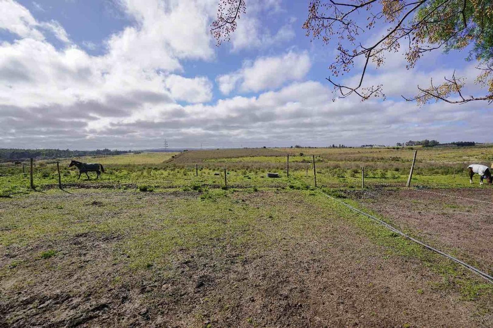 Ruta 8 LA PALMITA 100