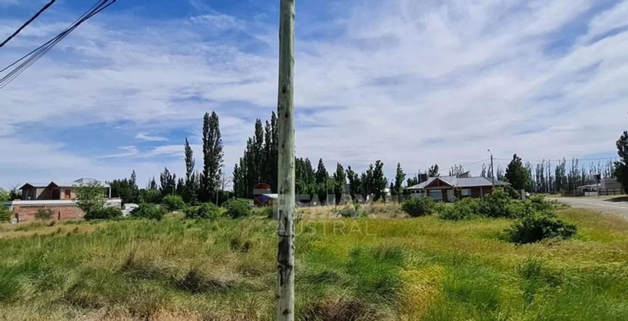 Avenida Antonio Colla 1000