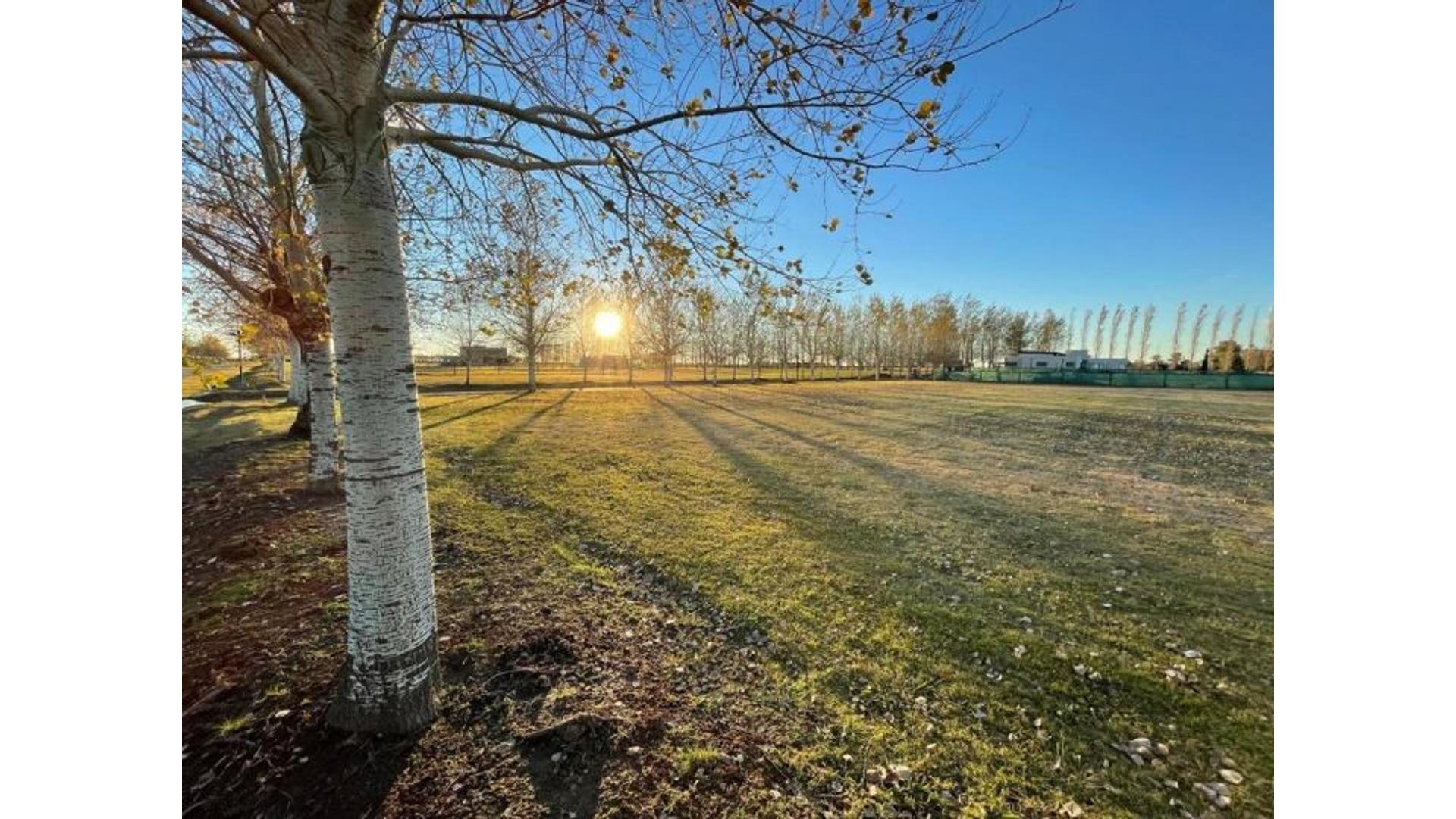 Terreno en Venta en Aguadas, USD 75