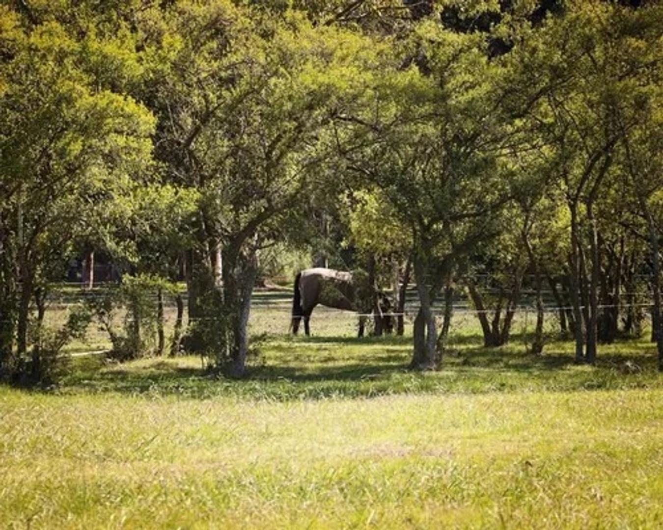 Terreno en Venta en Estancia Villa Maria, USD 37.000