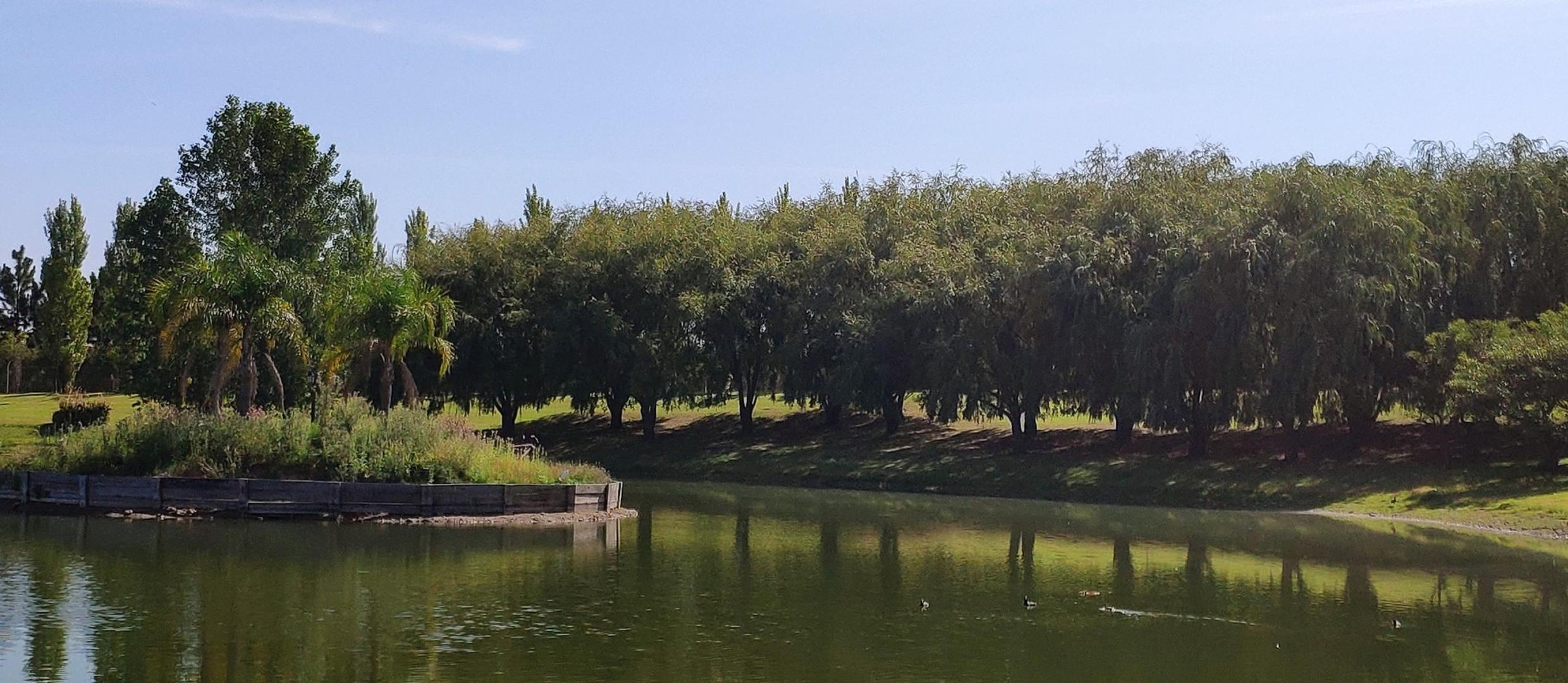 Chacras De La Reserva Lote 153