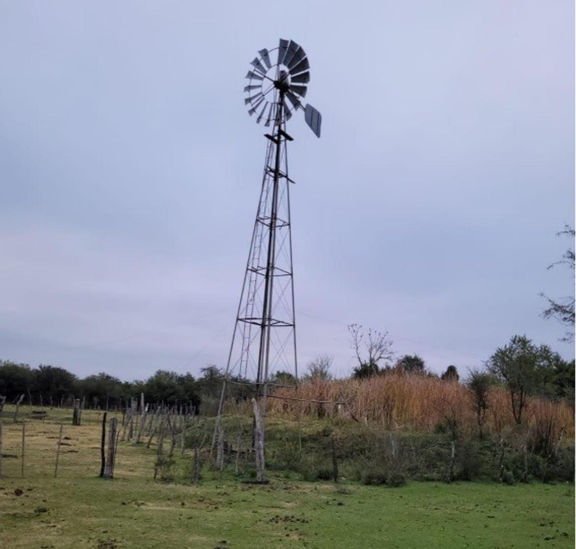 Campo 410 hectáreas ganaderas Sauce Corrientes