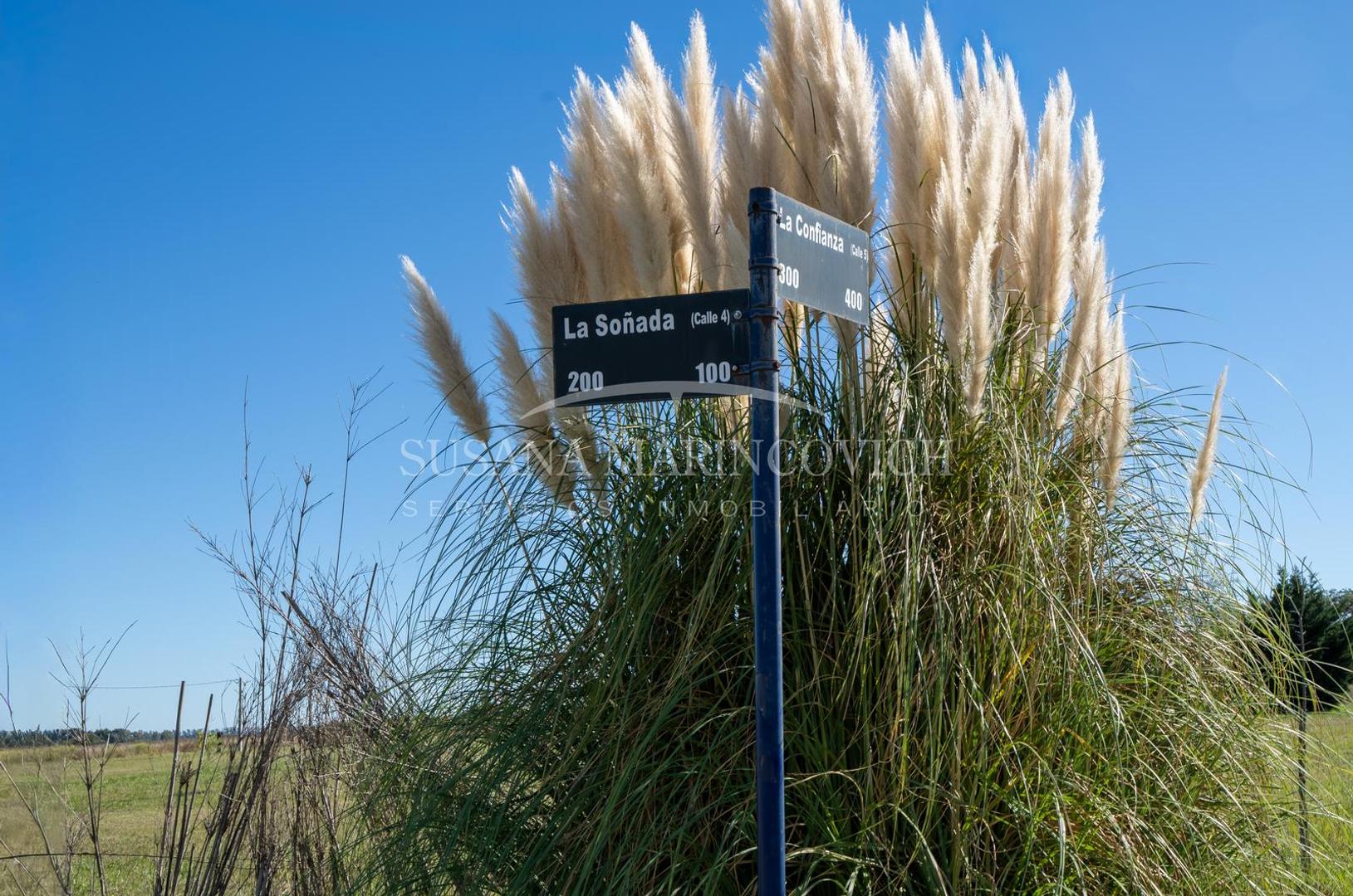 Terreno en San Alberto