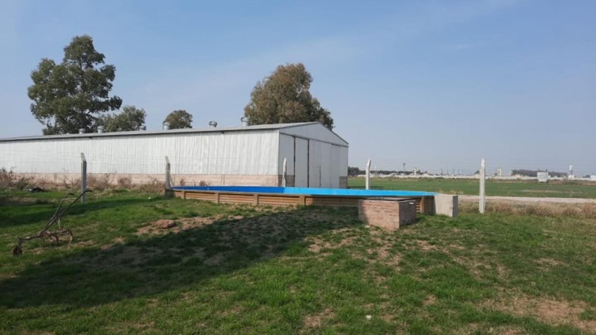 CAMPO EN VENTA