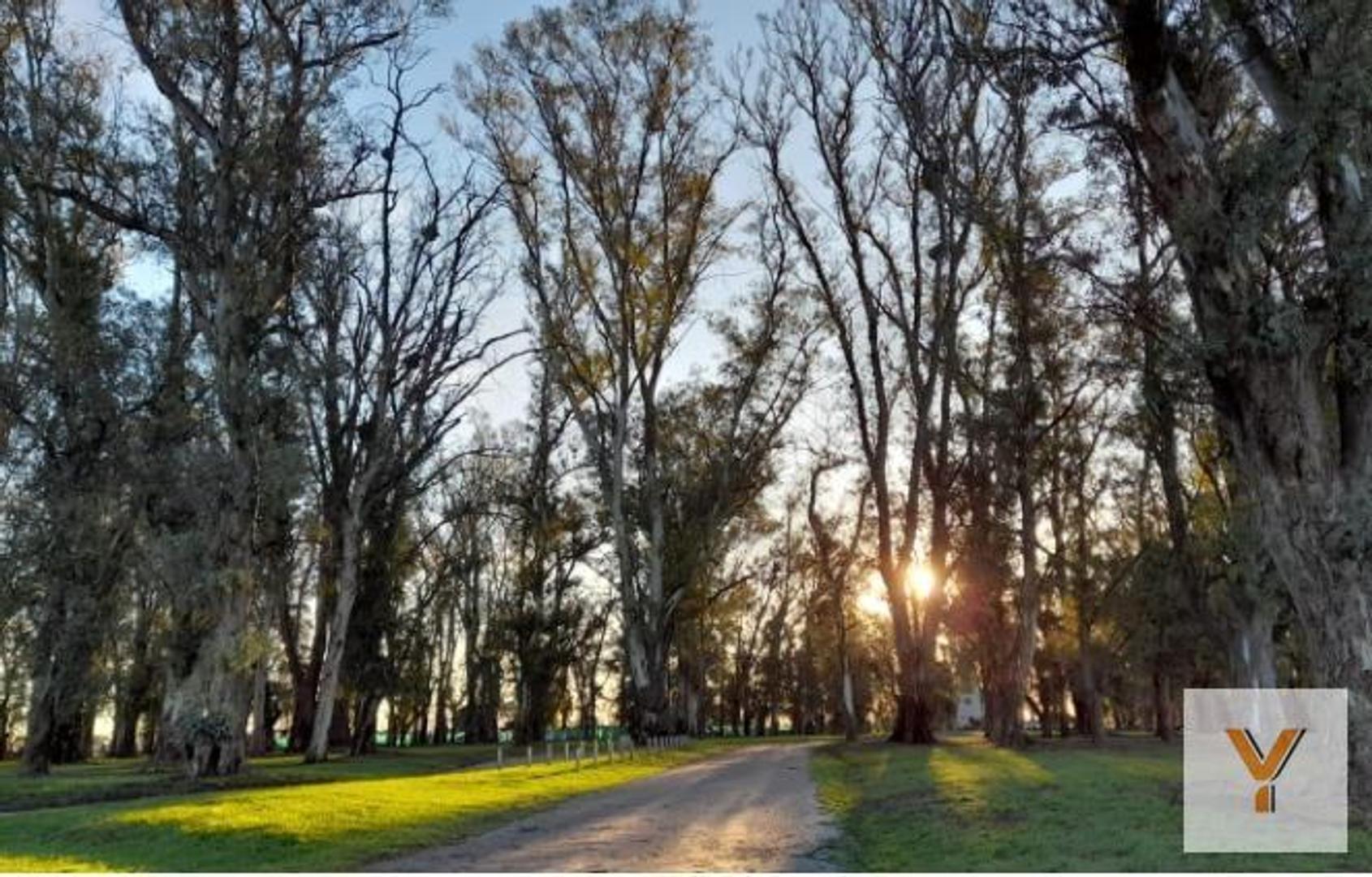 Terreno en venta - 2.000mts2 - Santa Inés, Luján