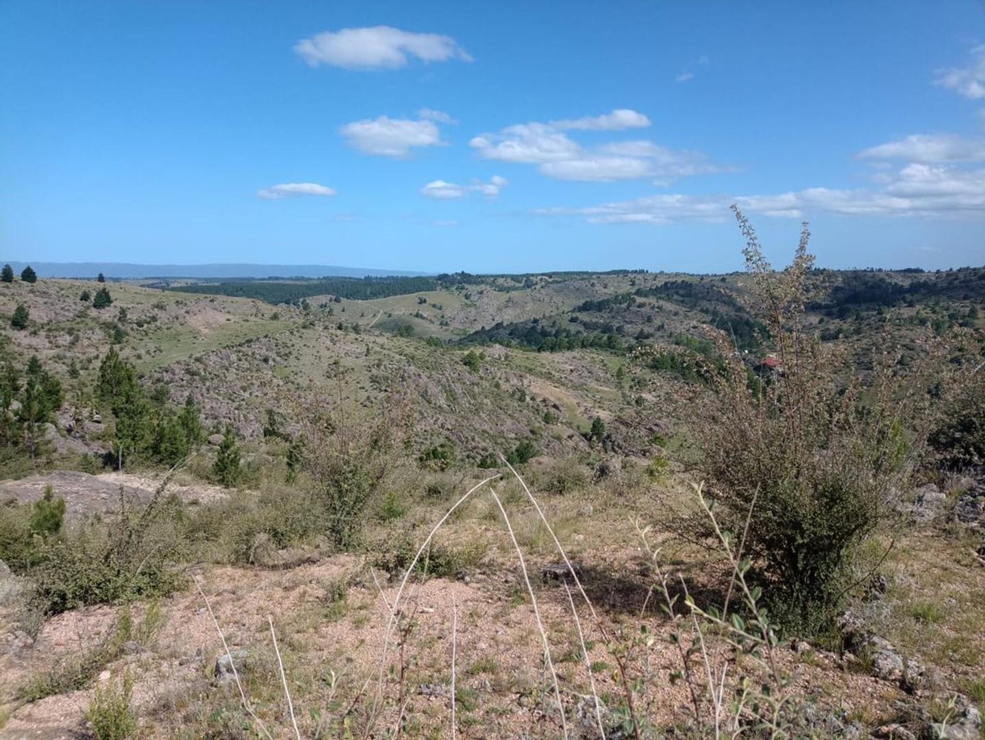 Terreno en Venta de 52242,0 m2