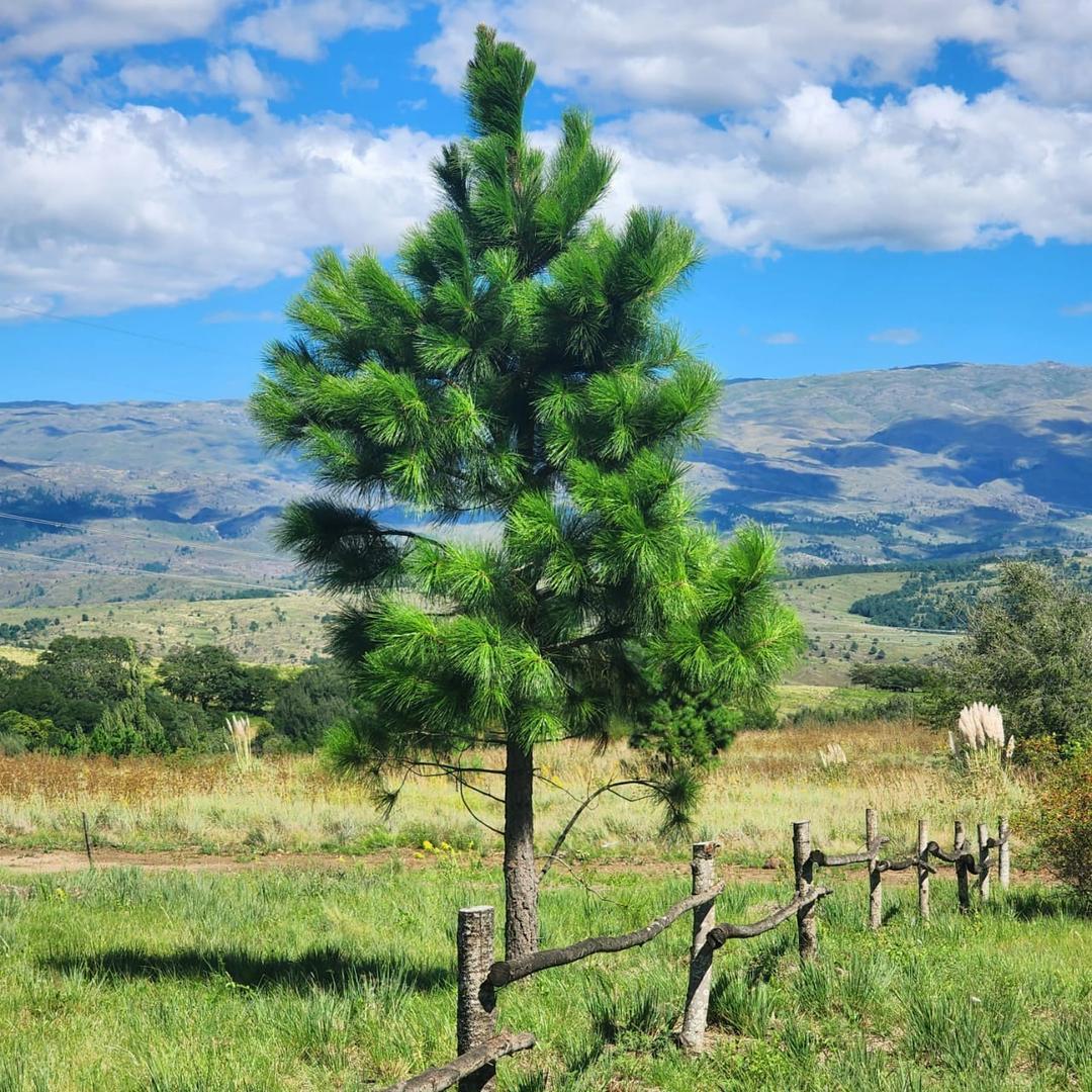 Terreno en Venta en Los Milagros, USD 19.000