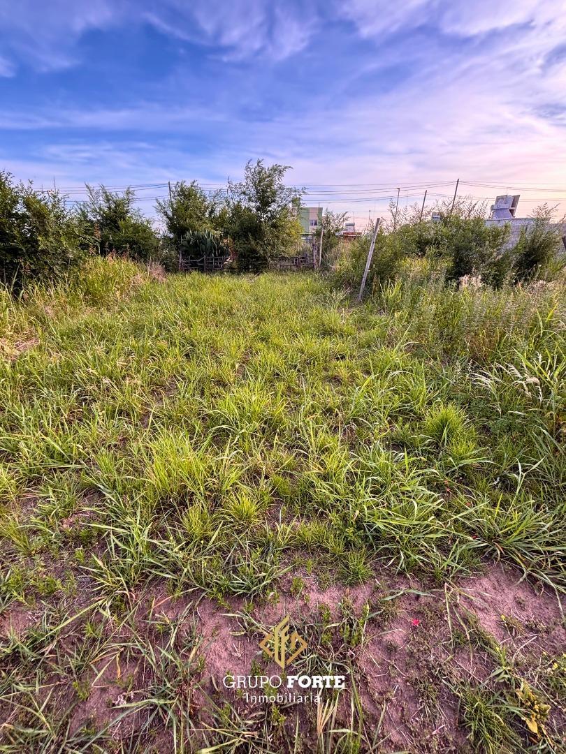Caídos Por La Patria