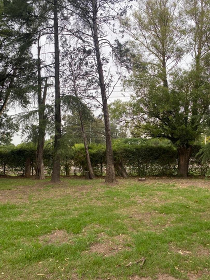 Unico   Lote Sobre Storni 5 Cuadras De Estacion