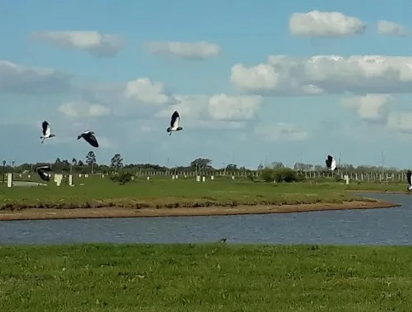 Terreno en Venta en Pueblos Del Plata - Sebastian Gaboto, USD 95.000