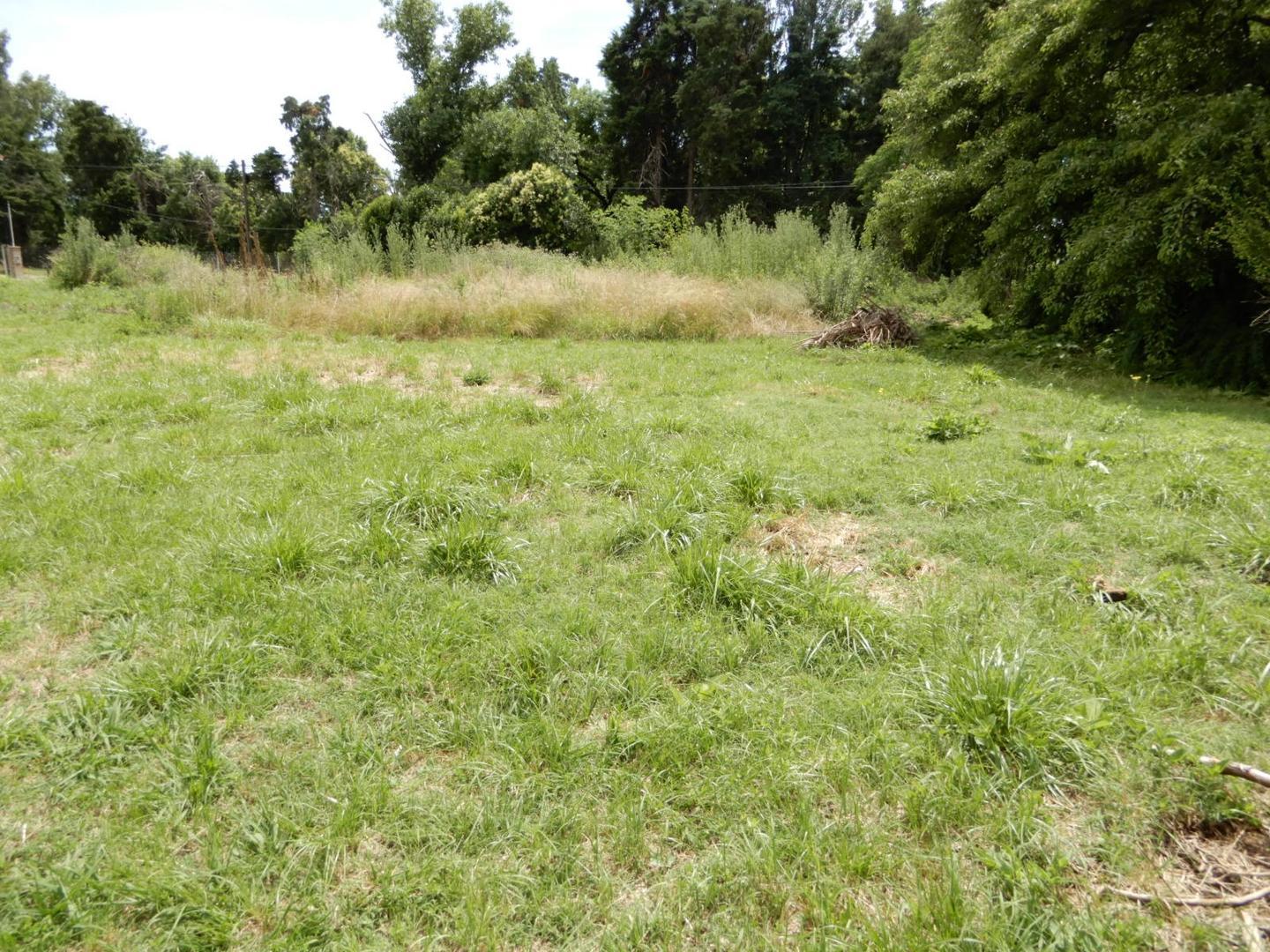 Terreno en Venta de 1495,0 m2