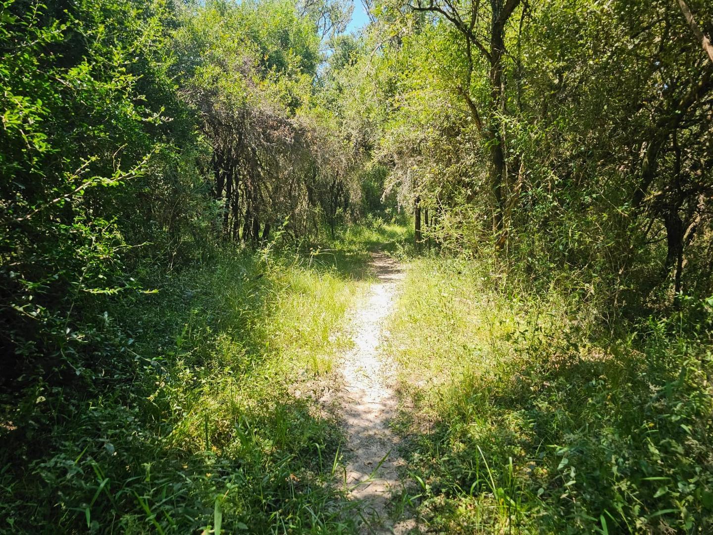 Vendo 650 Has Ganaderas