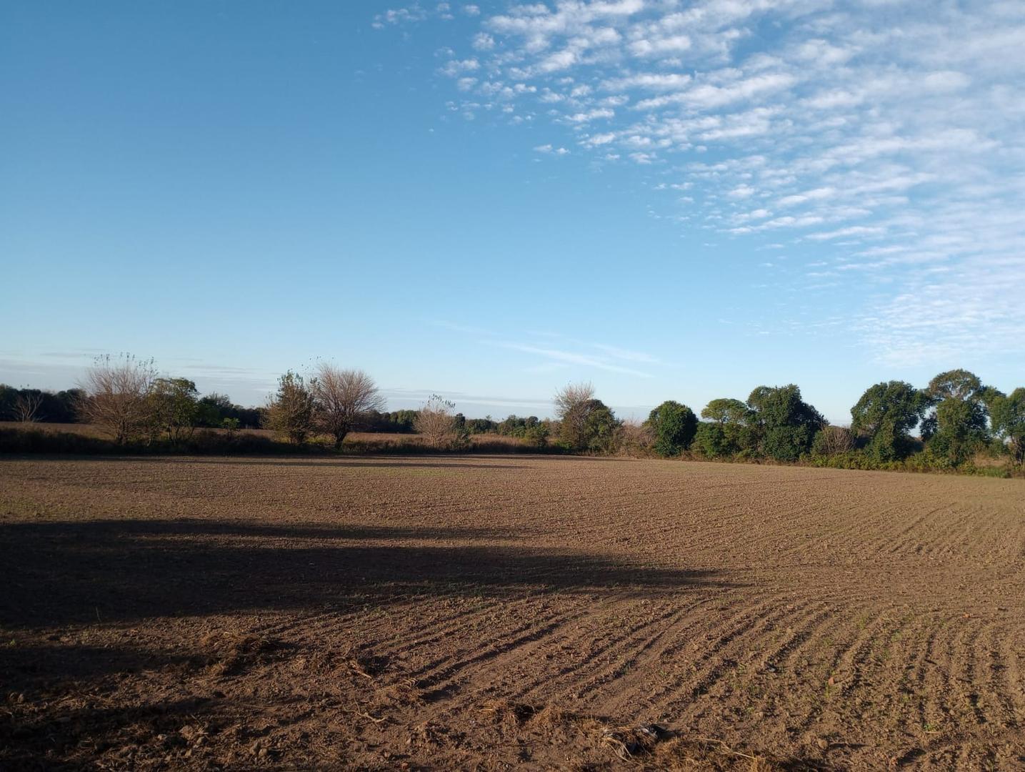 VENTA HECTAREAS CAMINO 60 CUADRAS