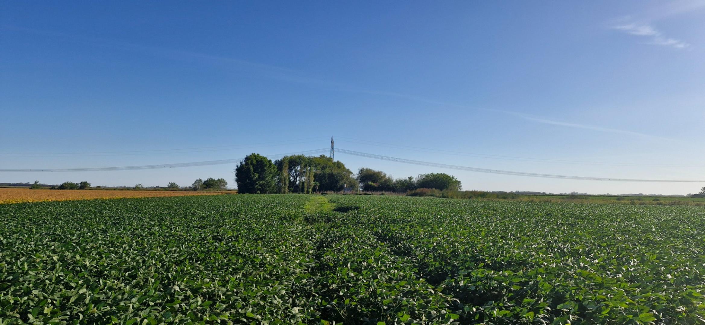 Ruta Procincial 10S 1