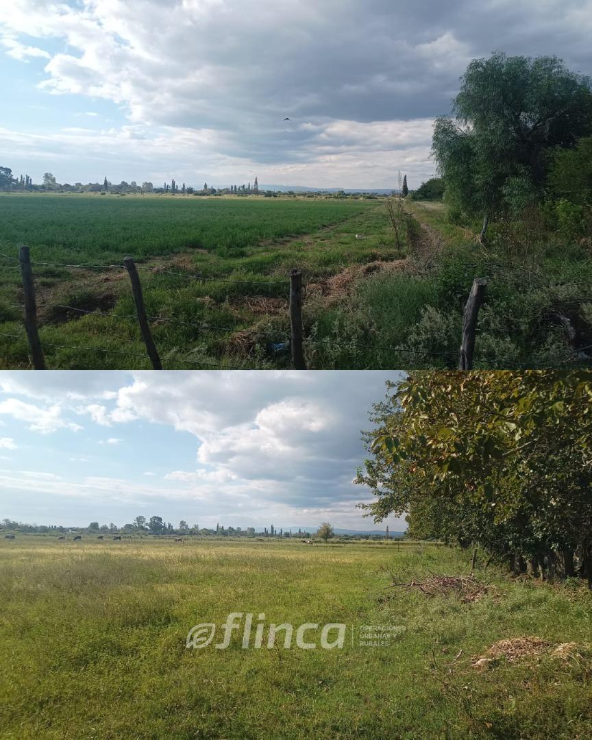 Consultar dirección