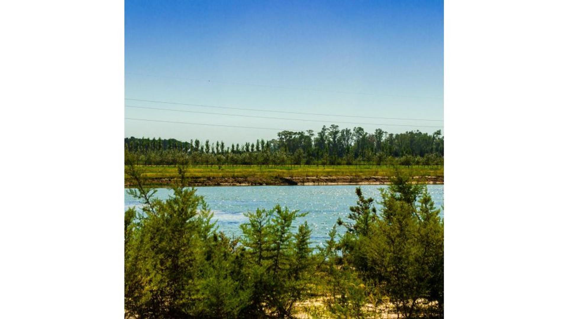 LOTE TERRENO HARAS DE FUNES