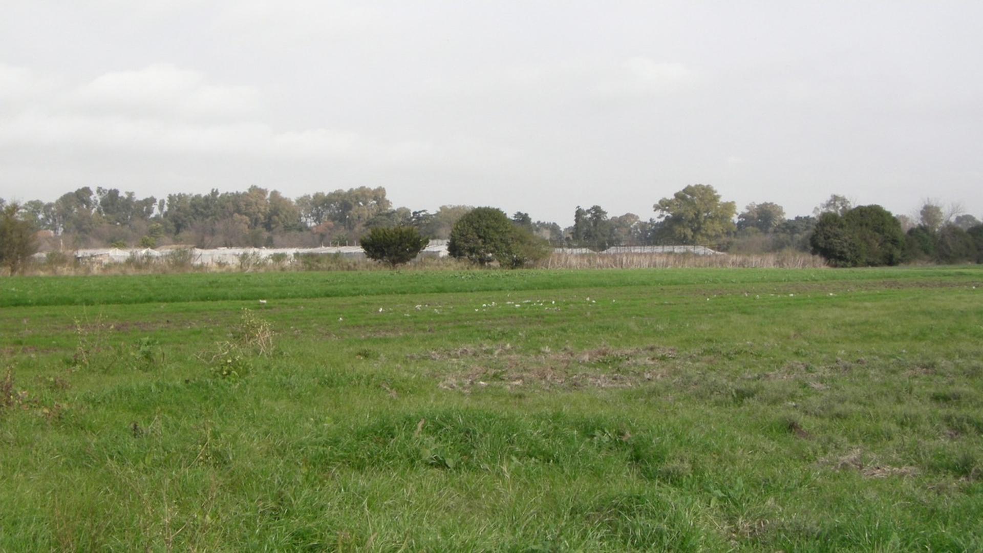 Francisco Lauria 3000