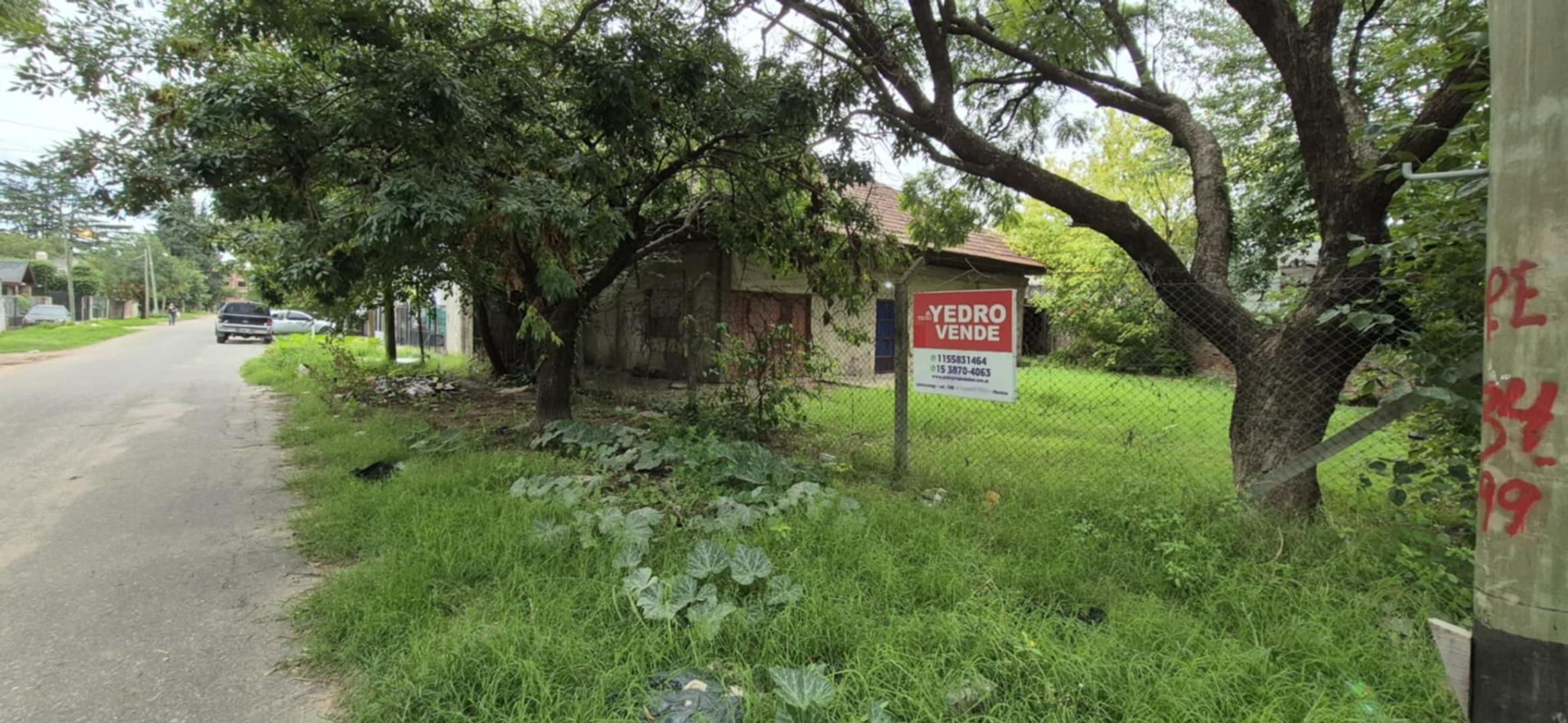 Juan Bautista Alberdi 1700