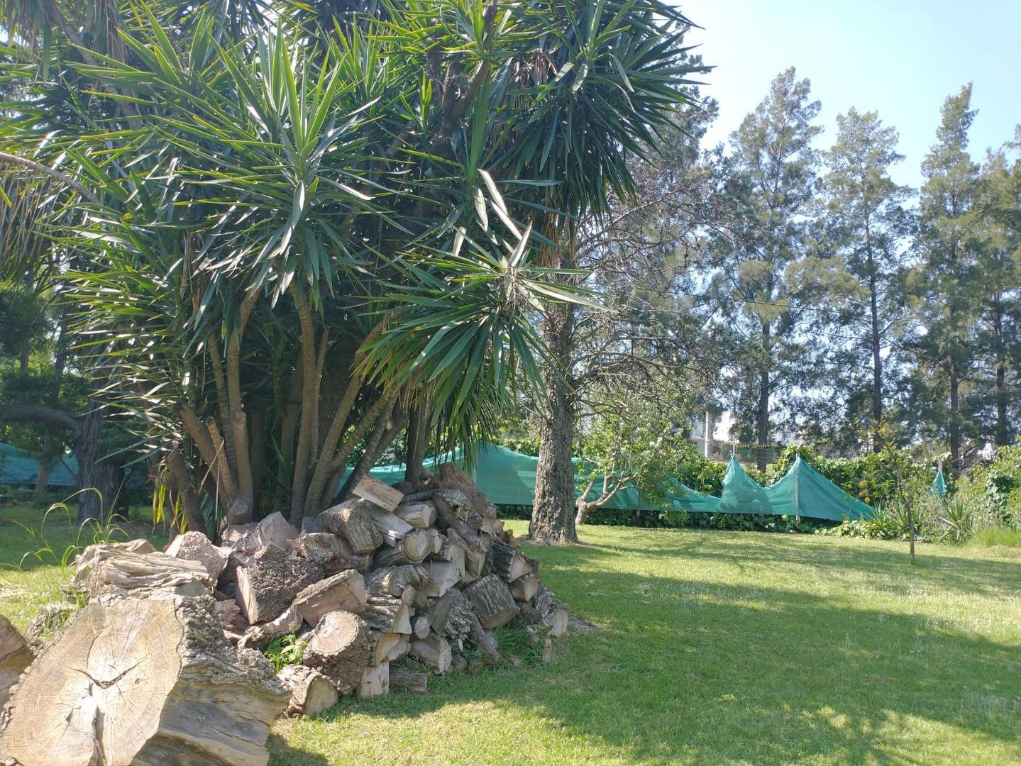 Gobernador Arana 1665