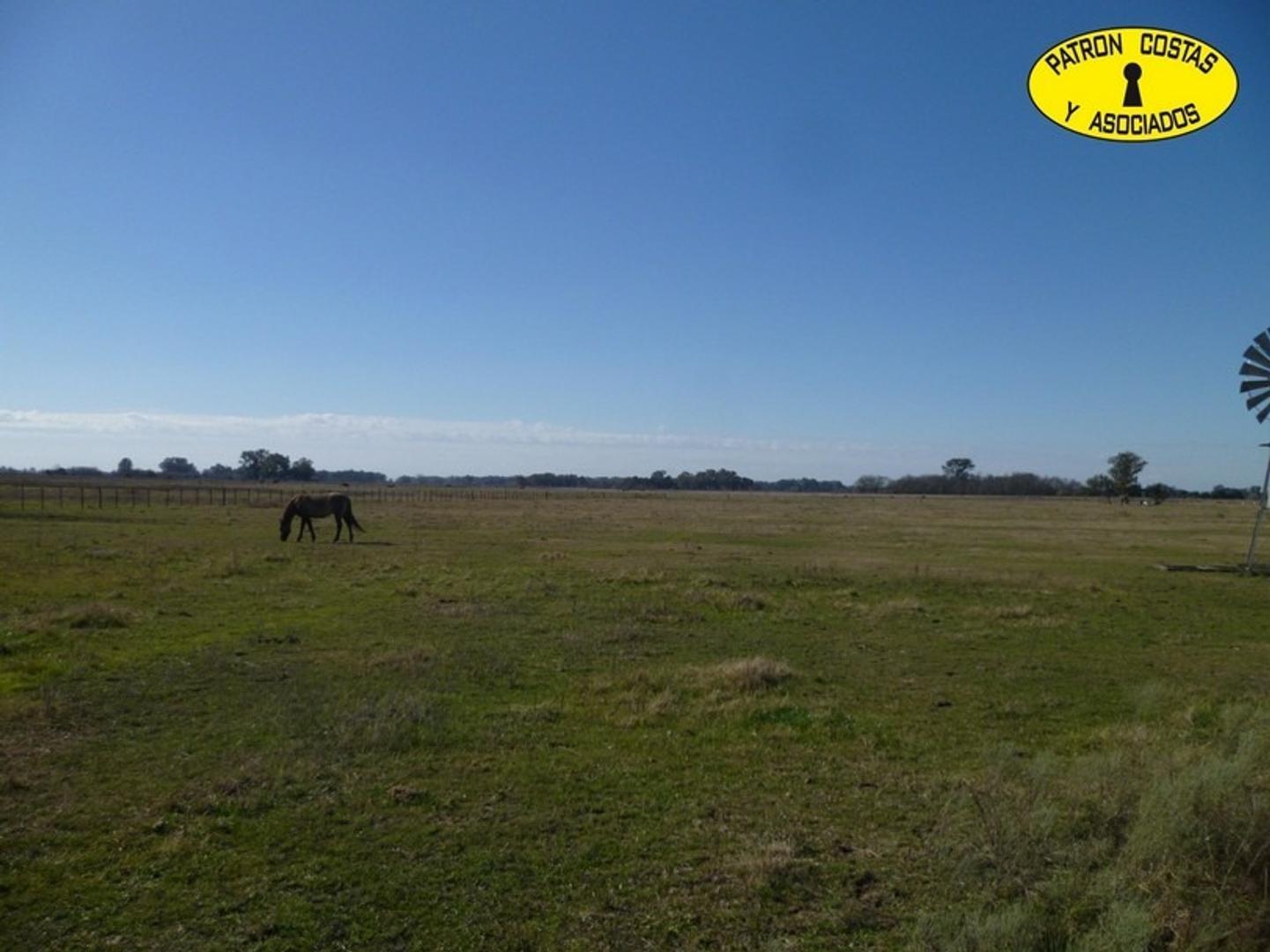 1434HP-6 HAS VILLA RUIZ- CARLOS KEEN