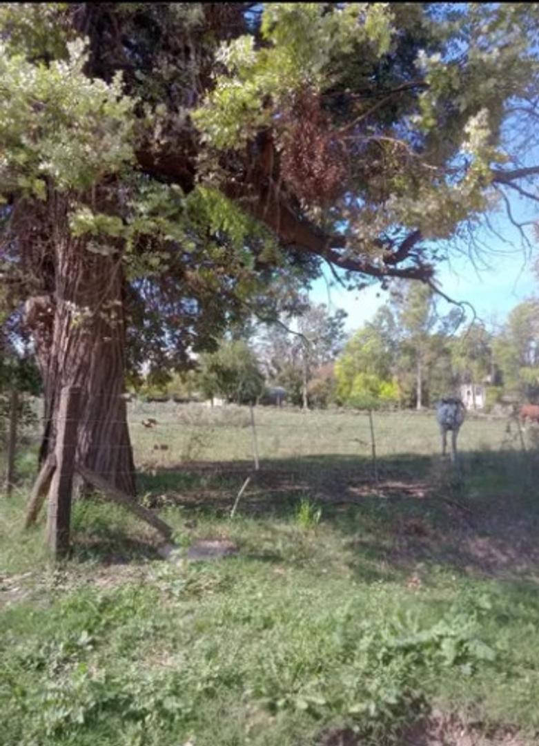 Terreno en Venta en Manzanares, USD 45.000