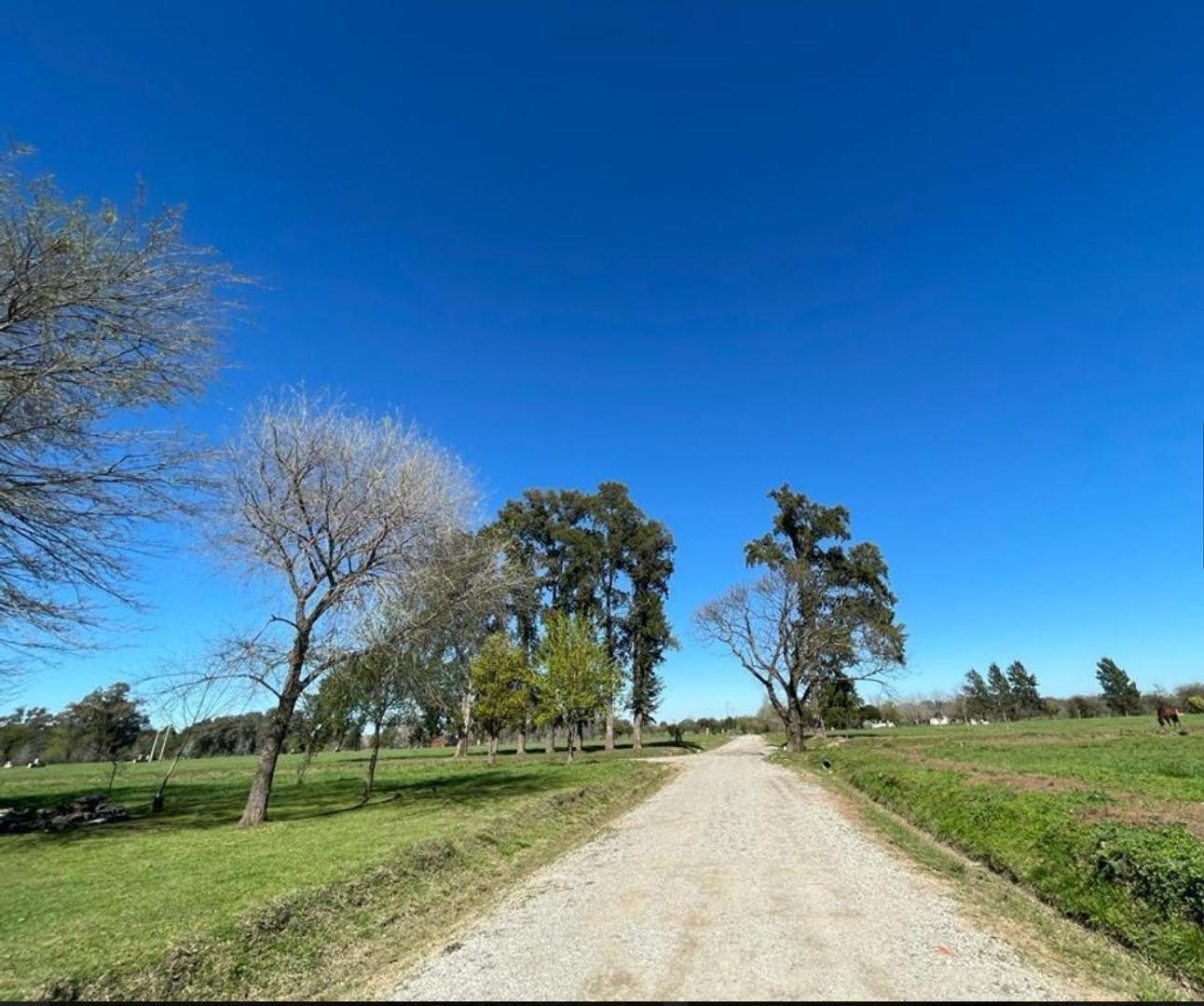 VENTA DE TERRENOS EN BARRIO ALTOS DE LUJAN