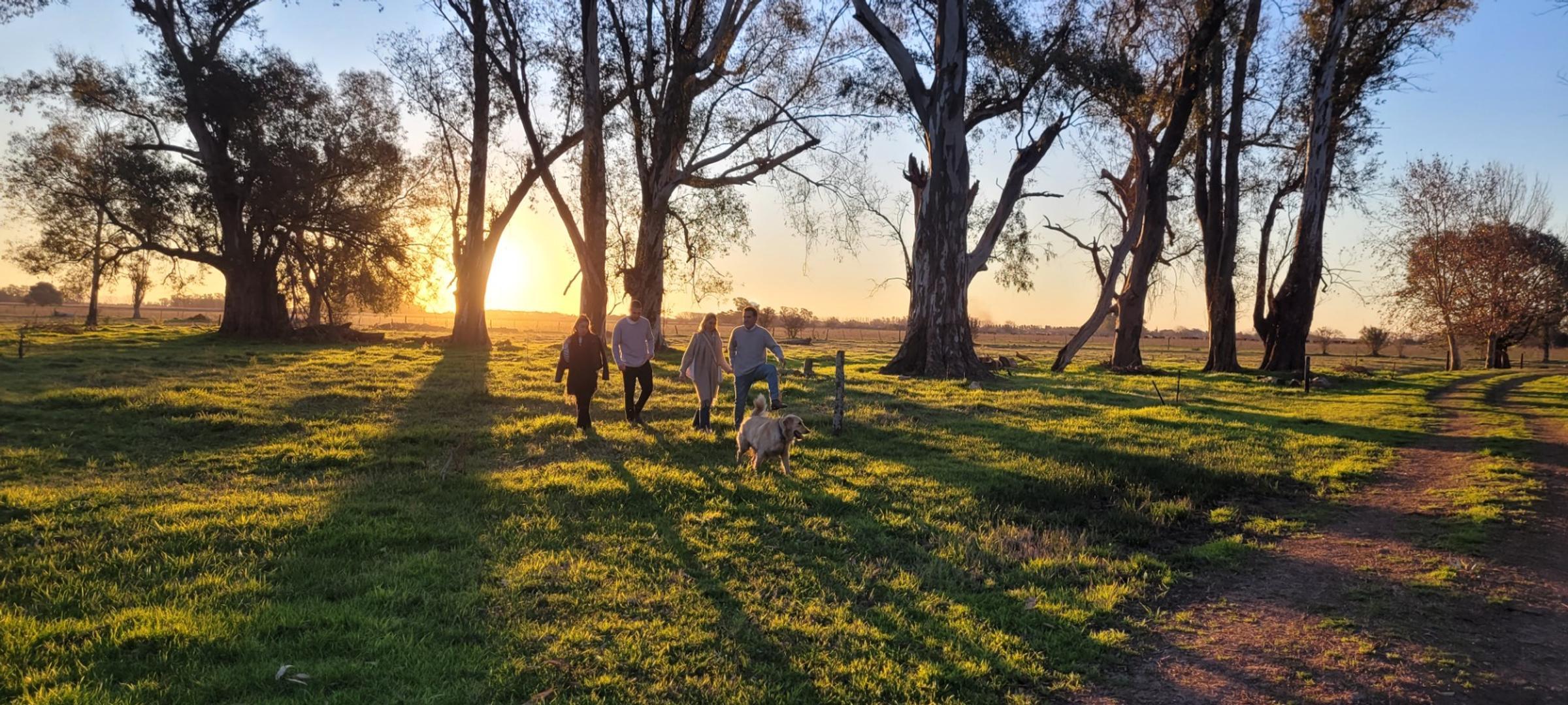 Terreno en Venta, FOS 0,4