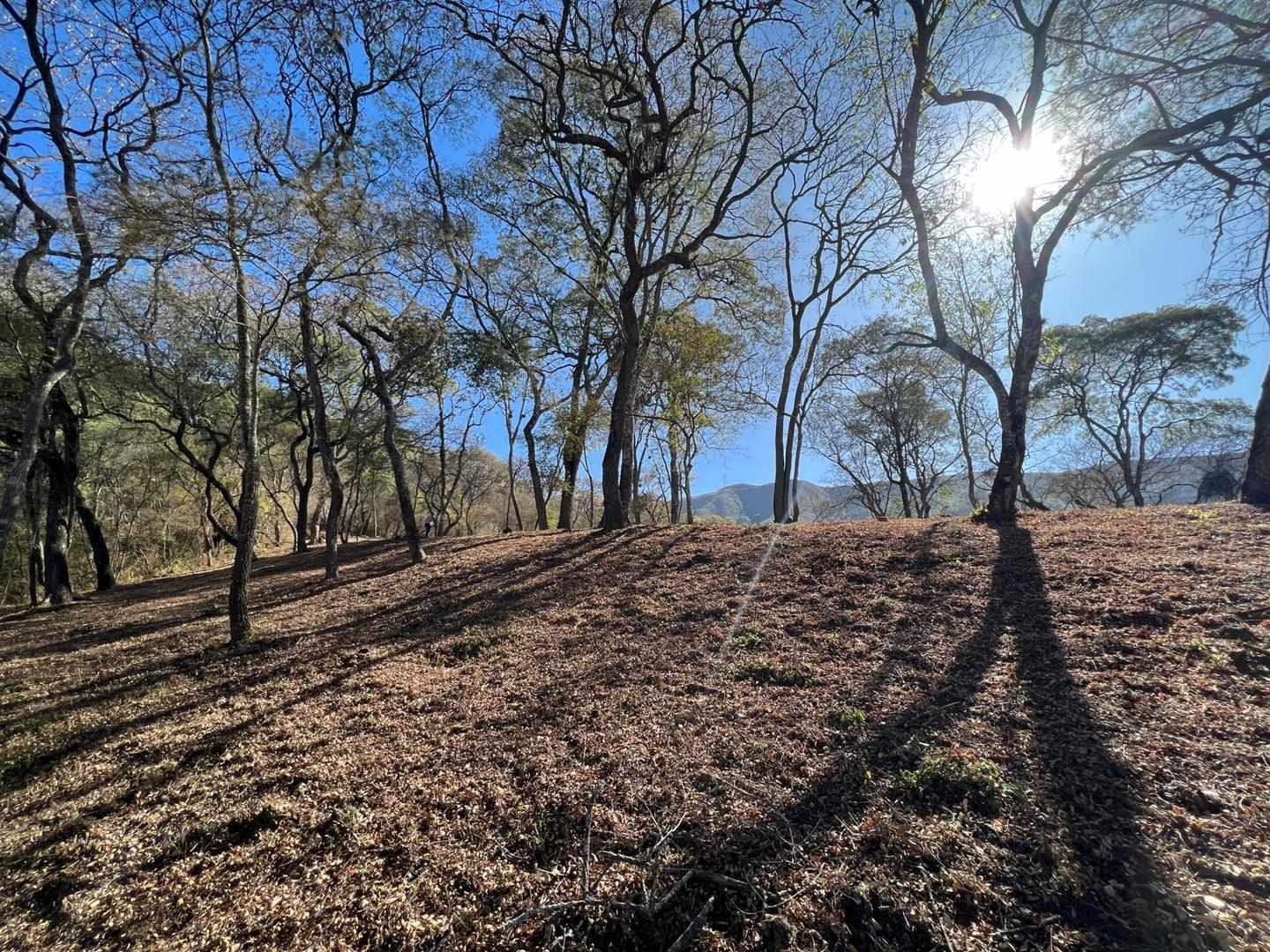 Terreno en Venta en Calderilla, USD 13.000