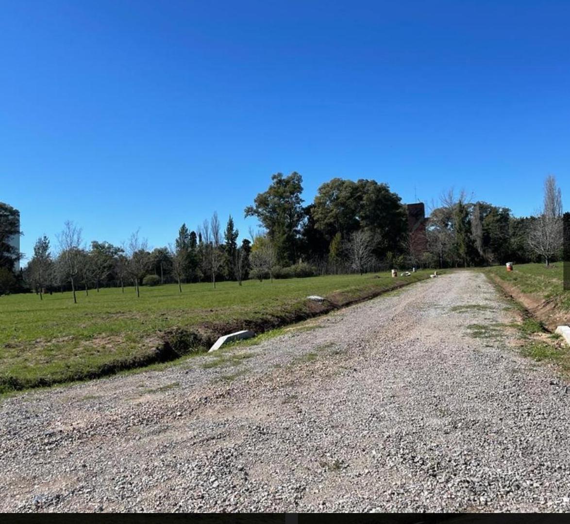 Av Lorenzo Casey Al 2000