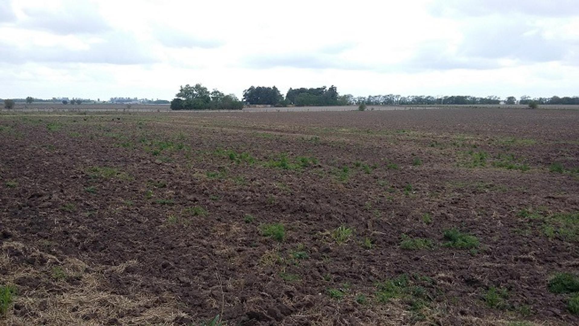 ARRECIFES, FRACCIÓN DE CAMPO A 200 MTS RTA 8