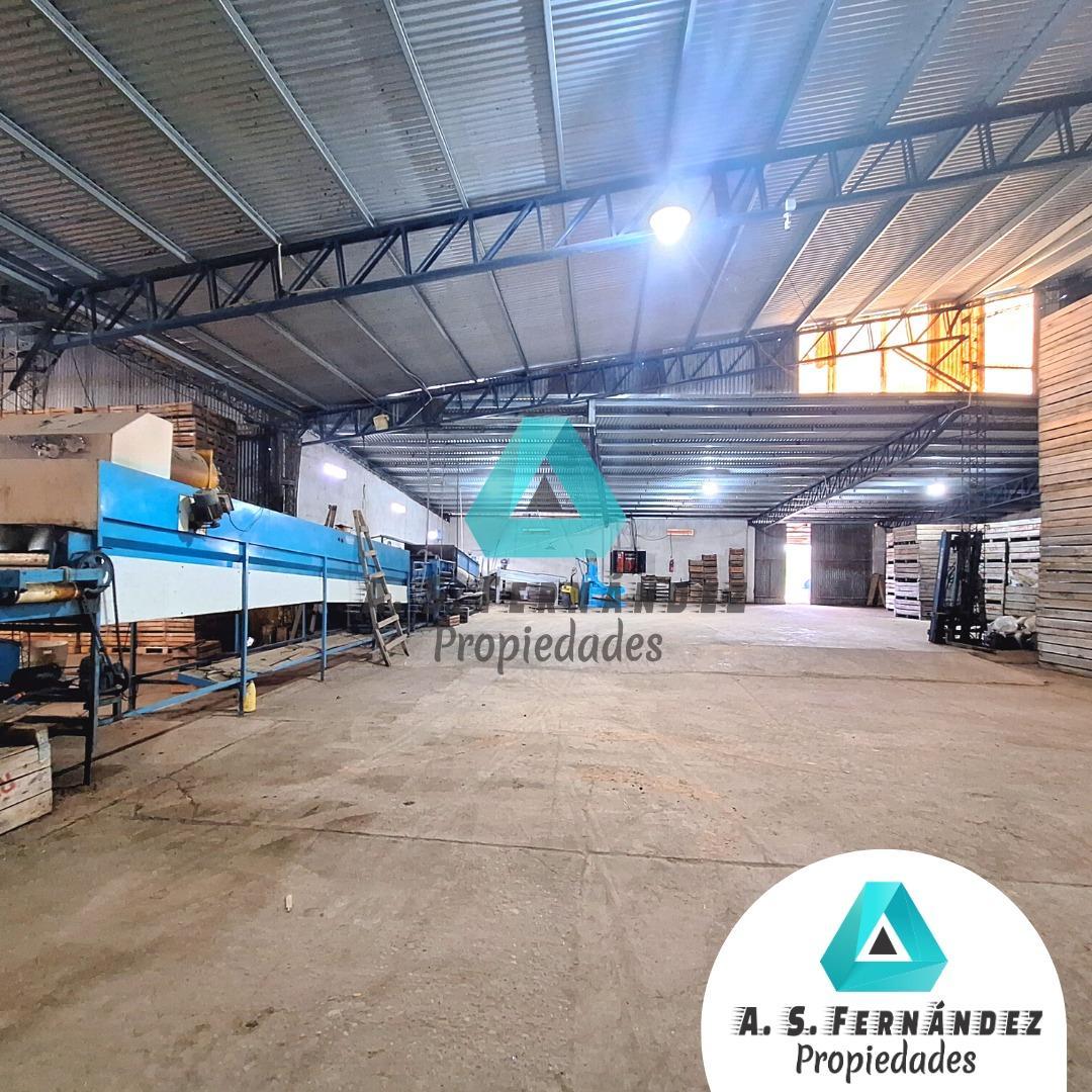 QUINTA CÍTRICA CON GALPONES, EMPAQUES Y CASA PRINCIPAL