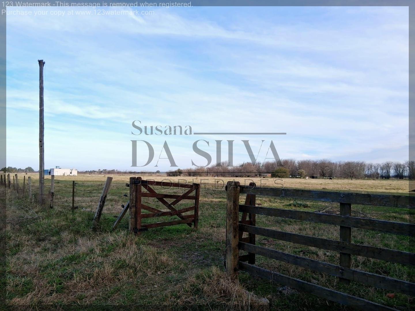 3 HECTAREAS en Zona Industrial Gral. Las Heras