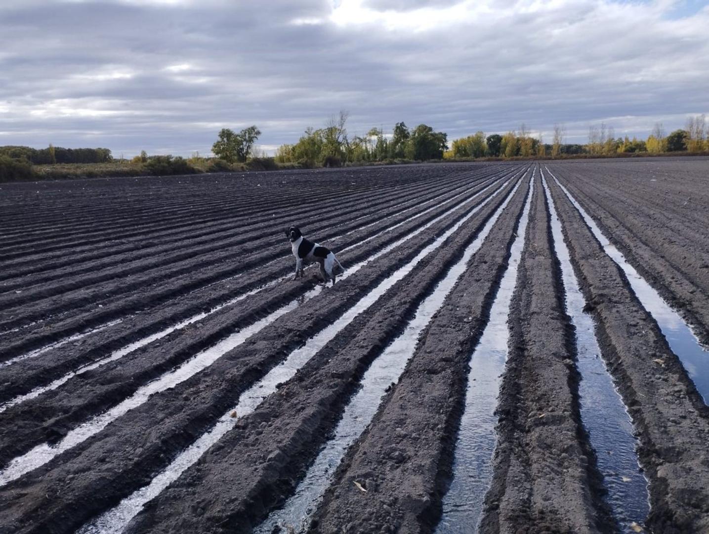 FINCA 16 HAS PARA CHACRA EN SAN CARLOS