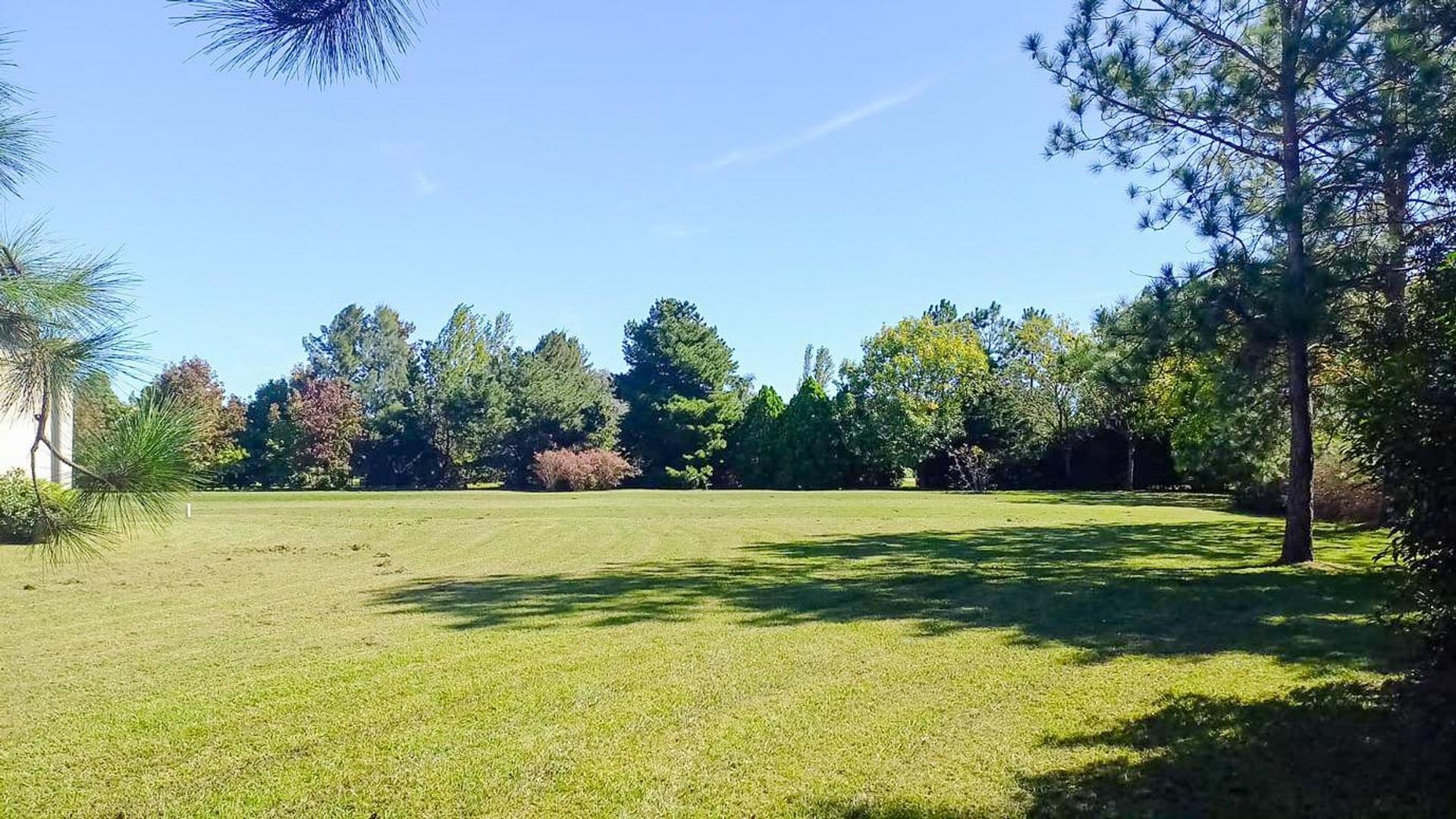 Cno Provincial 031-01