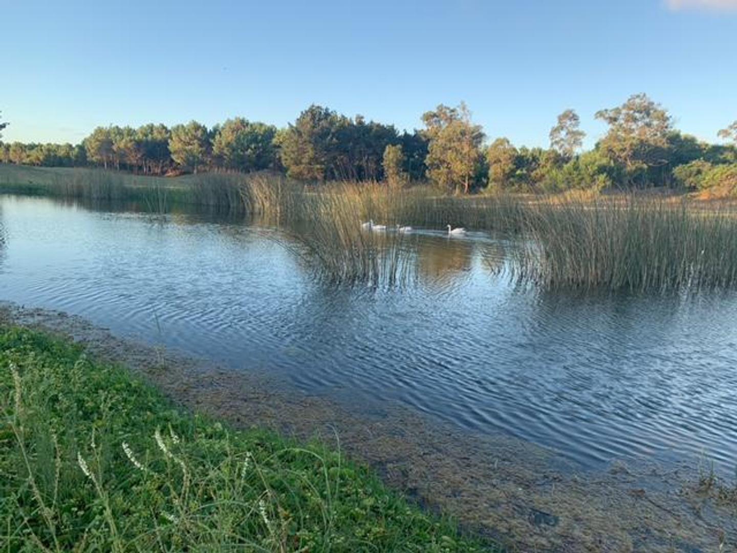 Terreno en Venta en Barrio Cerrado Costa Esmeralda, USD 140.000