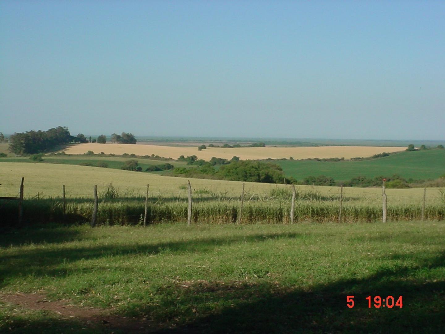 2000 hectareas en zona molino Doll