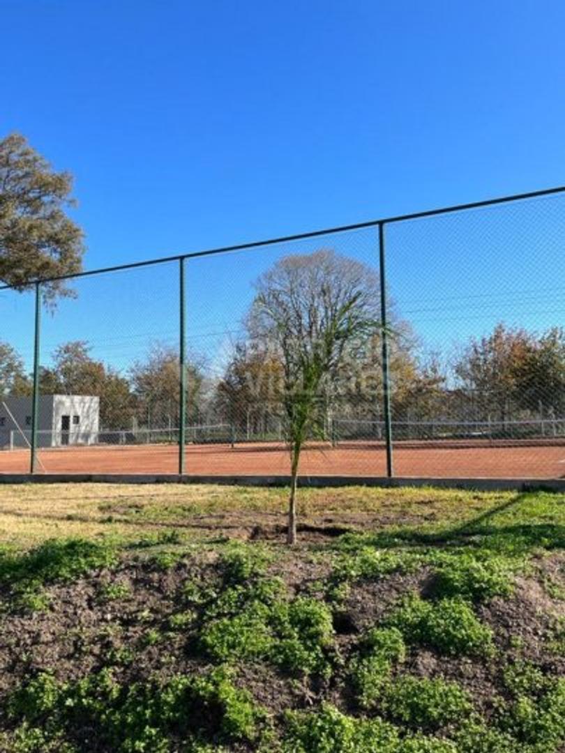 C. 152 y 75, B1885 Guillermo Enrique Hudson, Provincia de Buenos Aires, Argentina